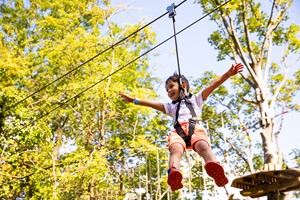Click to view details and reviews for Treetop Adventure For One At Go Ape.