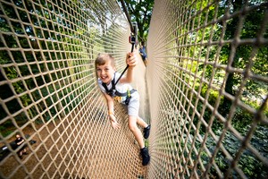 Treetop Adventure for One at Go Ape Image 3