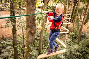 Treetop Adventure for One at Go Ape Image 4