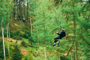 Zip Trekking Adventure for One at Go Ape Image 2