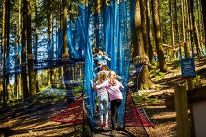 Treetop Nets Adventure for One Child Image 4