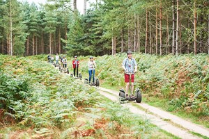 Click to view details and reviews for Forest Segway Experience For One At Go Ape.