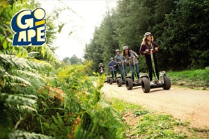 Forest Segway Experience For One At Go Ape