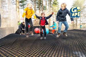 Nets Adventure Experience for One Adult and One Child at Go Ape picture