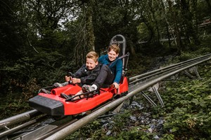 Click to view details and reviews for Zip World Fforest Coaster Shared Sled Ride – Adult And Child.