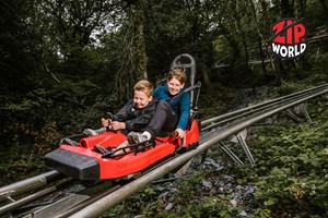 Zip World Fforest Coaster Shared Sled Ride – Adult and Child  picture