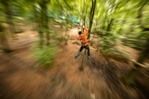 Zip Trek and Treetop Nets for Two at Treetop Trek Image 5