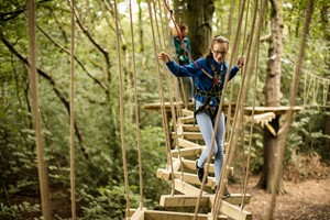 Zip Trek and Treetop Nets for One at Treetop Trek Image 4