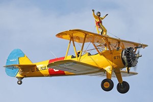 Wing Walking Experience for One Image 4