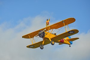 Wing Walking Experience for One Image 5