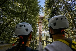 Forest Coaster and Plummet for One at Zip World Image 3