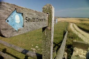 Half Day South Downs Walking Adventure for One Person Image 4