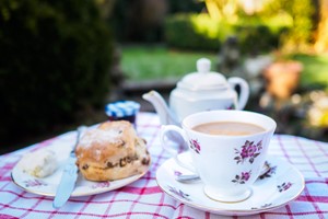 Ramble in The South Downs with a Cream Tea for Two Image 3