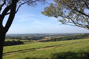 Half Day South Downs Walking Adventure for One Person Image 2