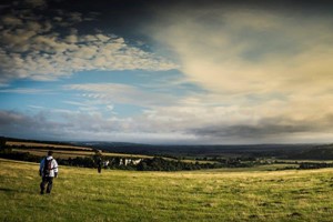 Half Day South Downs Walking Adventure for One Person Image 3