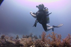 90 Minute Scuba Diving for Two at Dive Oddysea Image 3