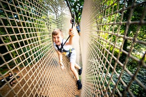 Treetop Adventure Plus For Two At Go Ape