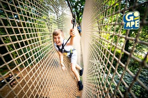 Treetop Adventure Plus for Two at Go Ape picture