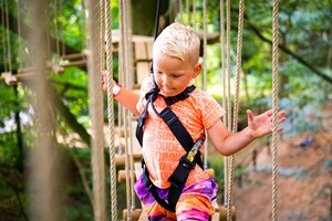Click to view details and reviews for Treetop Adventure Plus For One At Go Ape.