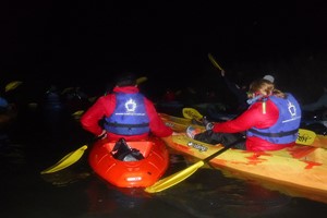 Night Kayaking Adventure for One Image 5