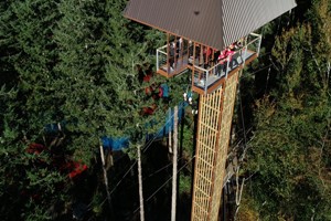 Forest Coaster and Plummet 2 for One at Zip World Image 3