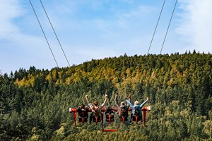 Zip Safari and Skyride for Two at Zip World Image 3