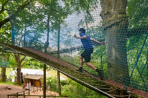 Treetop Nets Adventure for One Child Image 2