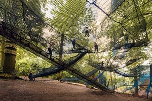 Treetop Nets Adventure for One Adult Image 1