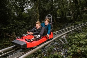 Fforest Coaster and Treetop Nets for One Adult and One Child at Zip World Image 2