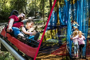 Click to view details and reviews for Fforest Coaster And Treetop Nets For One Adult And One Child At Zip World.