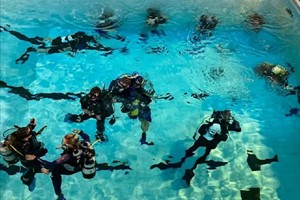 Discover Scuba Diving for Two with Bolton Area Divers Image 2