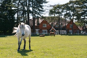 Two Night Stay for Two at New Forest Collection Hotels Image 3