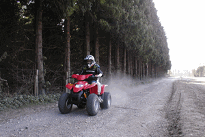 Quad Bike Thrill Image 2