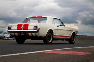 Triple Mustang Driving Blast Experience Image 3