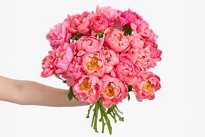 Three-Month Ethical Flower Subscription from Arena Flowers - Image 7