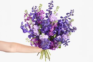 Three-Month Ethical Flower Subscription from Arena Flowers Image 4