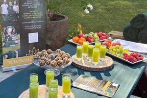 Midweek Twilight Wellness Workshop for Two at Eclosion picture