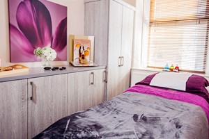 HD Brows Treatment for One at Sue Shields Face and Body Spa picture