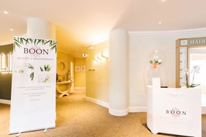 Facial or Facial Lymphatic Massage for One at Boon Beauty Image 2