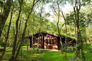 Click to view details and reviews for Overnight Stay In A Woodland Cabin For Two At Chevin Country Park Hotel And Spa.