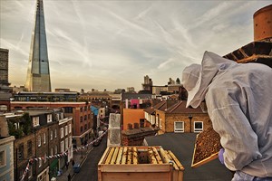 London Beekeeping and Beer Tasting Experience for Two Image 2