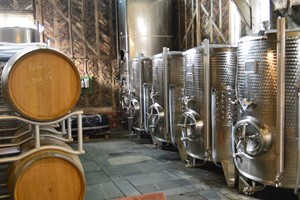 Vineyard Tour with a Wine and Cheese Tasting for Two at Giffords Hall - Image 2