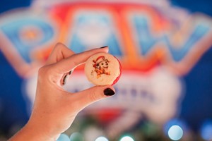 PAW Patrol Afternoon Tea Bus Tour for Two Adults and Two Children with Brigit's Bakery - Weekend picture