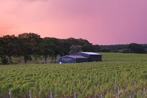 Wine Tour and Tasting for Four at Warehorne Vineyard picture