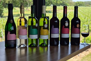 Wine Tour and Tasting with Cheese Charcuterie Board for Two at Warehorne Vineyard picture