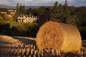 Afternoon Tea with a Glass of Pink Fizz for Two at Ballathie House Hotel  Image 3