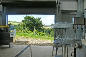 Holmfirth Vineyard Tour and Tasting for Two in Yorkshire Image 4