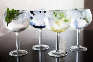 Buy Gin Tasting Experience for Two at Jenever Gin Bar