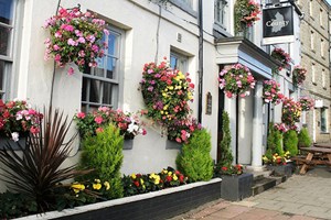 Three Course Meal and Bottle of Prosecco at The County Hotel picture