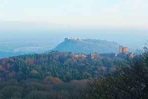 Afternoon Tea for Two at Peckforton Castle Image 4